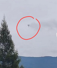 ���ҵ��ˣ�������ĵ�...ÿ�궼�ж�����Ϊ����¡�Ʈ����