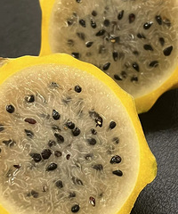 ���˳Թ����ѹ��𣿾�˵�Ǳ��ؾ��ǣ������ǻ����·��Ļ�������