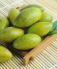 �����ӳԶ�ˮ���ܹؼ�����ɩ��ο�ѧָ����