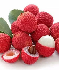 �����ӳԶ�ˮ���ܹؼ�����ɩ��ο�ѧָ����