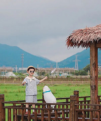 [����]������IN���淨 | �������Ŷ�����