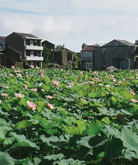 [����]����ɽ��̨�ݵ��������