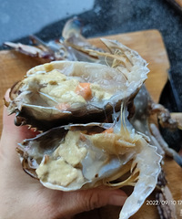 �������ʲô���з���ճ�