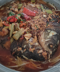 �������ʲô����ͥ�濾��