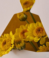 94���������С����Ѱ����ͨŮ������һ��