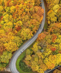 ����95�У�Ѱ��Ե�ˣ��Լ���ҵ�����������Լ����