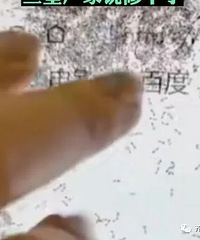 �̲车���������ϣ�������������...���ѣ�����������