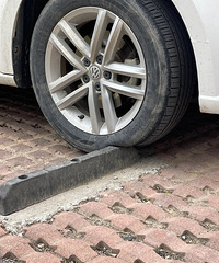 ���������ġ�Ҫ��Ҫ������һ�£�