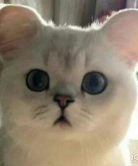 Ϊʲô�ʳ��ļ���Ժ������ô���أ��������