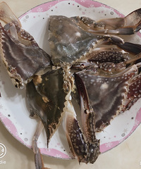 ���Ի���̨��no68����������з