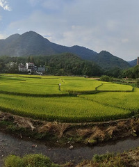 ��̨������~��������~������~���뻷��