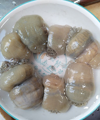 6ֻɳ��68Ԫ���ǲ��Ǳ�ɱ����