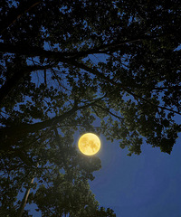 �µ����Ĵ����絽ˮ��ʱ��һ������ζ��ֻ������֪��