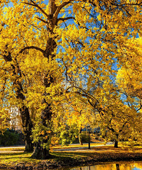 [����]�ʺ�����Сס��6���Ŵ���