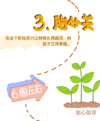 �������� | ��̥�紳����Ϸ������Ҫ��ͨ���ؼ��������