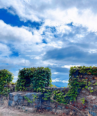 Ե����һ���飬���ò�����ͻ������������Ҫ�ҵ��Ҹ���?