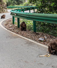 [����]�Լݰ������ϴ����ߡ����ݹų�