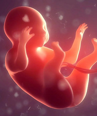 [����]��Щ������֪ʶ���ö����趼��֪������