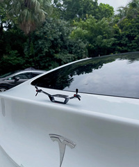 ���������ġ���ż��ͬ����˹����Сβ�������е�����