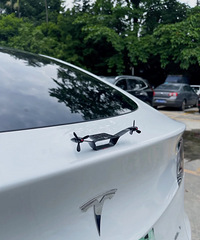 ���������ġ���ż��ͬ����˹����Сβ�������е�����