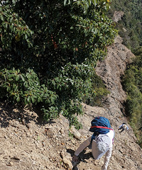 �㽭ʮ�󾭵�ͽ����·���ٺ�����ɽ����