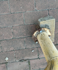 �������Ƥ����Ҫ���ĸ����ţ�