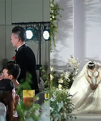 ���ｫ���������������ţ��������