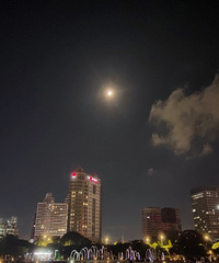 29��MM�����첻���ޣ�����169����ֵ����