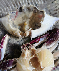 ��з�����������Լ������ǽ�̯������