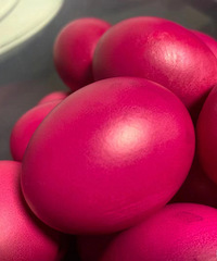 19¥����ķ�����2022����ռǡ�