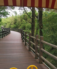 �������ռ�No.69���ɾ���ɳ����¶Ӫ+Ƥ��ͧ+�������ᣩ