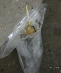 ��ô��ֹҰè�����ţ�