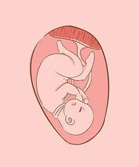 ����ƾ������£����µ��������⼸��ϰ�߻�����