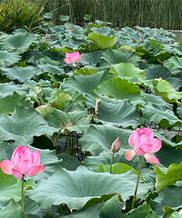 [����]��λ����������ټ�λ���ң�