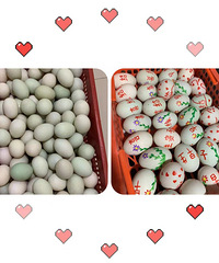 �����Ҷ��顿Ů���ڼ���죬�ͳ�����һ����˸���