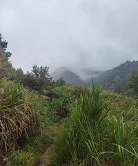 �������������������������֣���ͬ�ɾ�