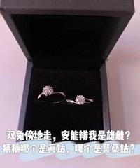 �������Ρ���¥��ŷ����