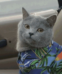 Ů���������ϻ�������200��Ե�����ʳ�����ѣ�get��ʳ��