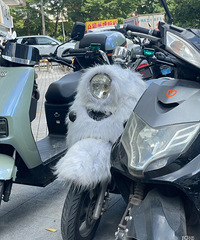 ���������ġ���֪���⳵�����ڶ�����