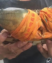 6.8���������з����������Ǯ