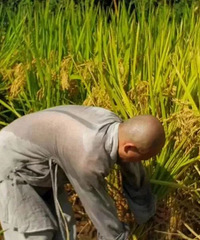 [����]��������̨�����µ��＾�޶�