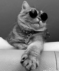 ˵˵���ǵ�һ�λ�Ǯ���׵ľ����ɣ�������