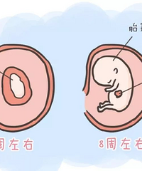 ����B�����������顱��1���ӽ��㿴����