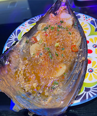 ���Ի���̨��No.69����Χ��ǿ�����־ưɣ��տ�Ҳ����