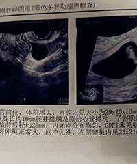 ����֮�Ҹ���������������2022�����ռǡ�