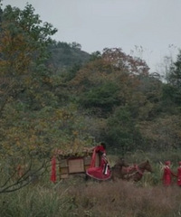 ����·�������ɻ���𣿲��ܹ����������е��Ѱ�