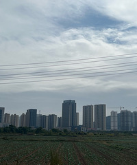 ���붫��������ĳ��н��趼�ܲ�����