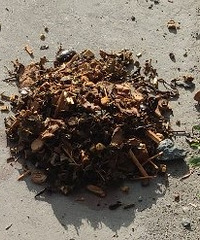 ���ªϰʲôʱ����ܸĸģ�