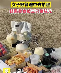 ��Ů��¶ӪҰ�ͣ��������ջ�ͷȴɵ���ˡ�