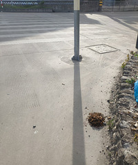 ���ªϰʲôʱ����ܸĸģ�